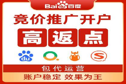 某某sem推广公司在某行业的应用与效果分析
